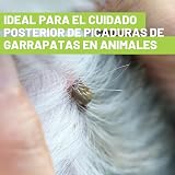 Ver la foto 2