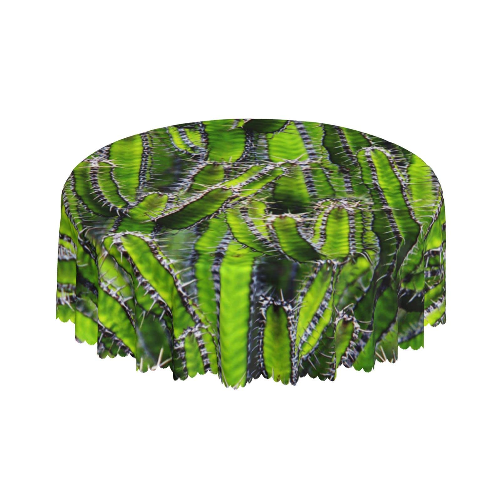 Lsjuee Cactus Desert Green Round Tablecloth 60 Inch Printed Washable Tablecloth for Dining Party Holiday Fall Home Decorative