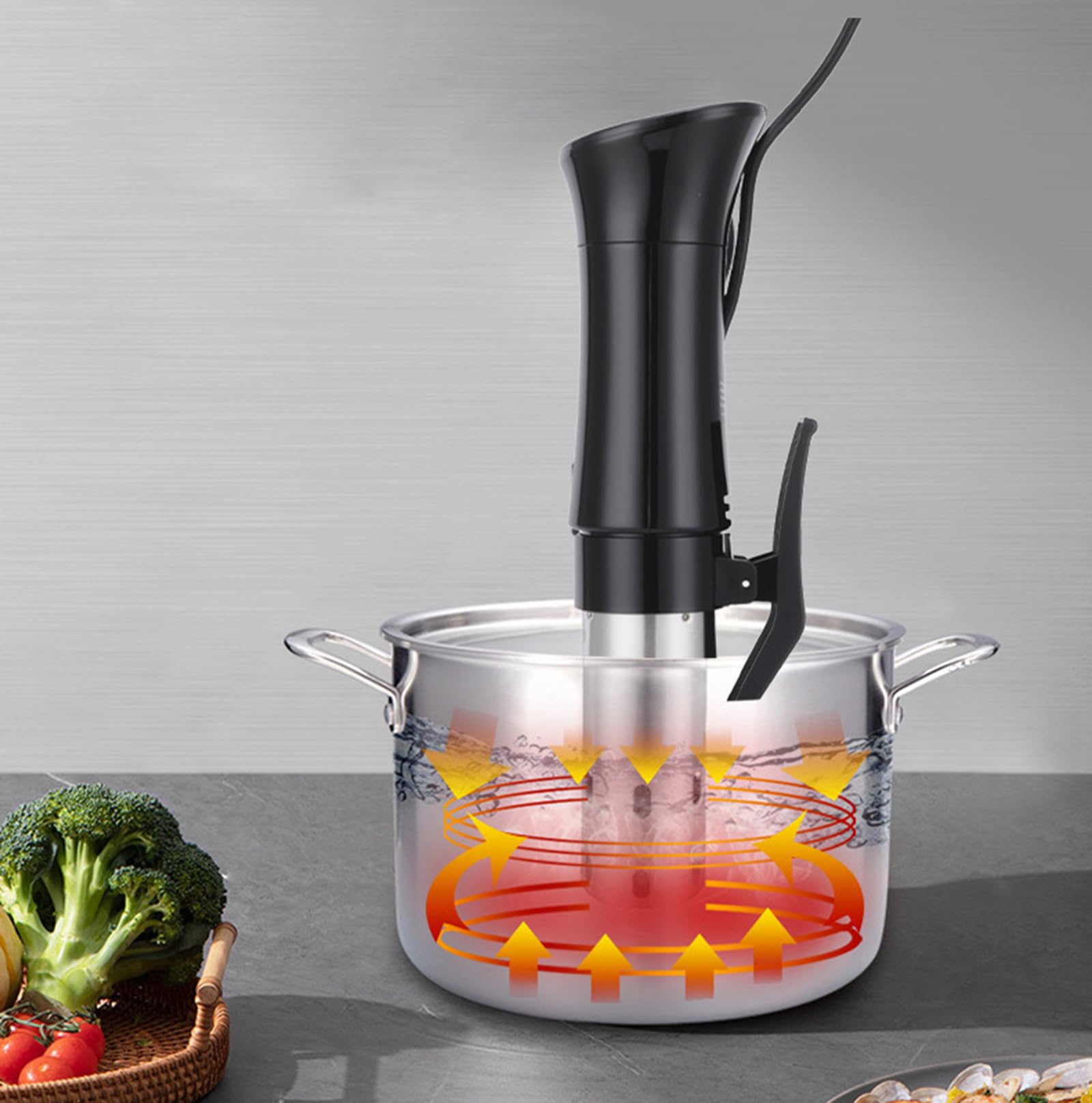 Circulador de inmersión Sous Vide para Uso doméstico | Cocedor y descongelador de precisión | 1100 W filetes, Carne, Pescado y más