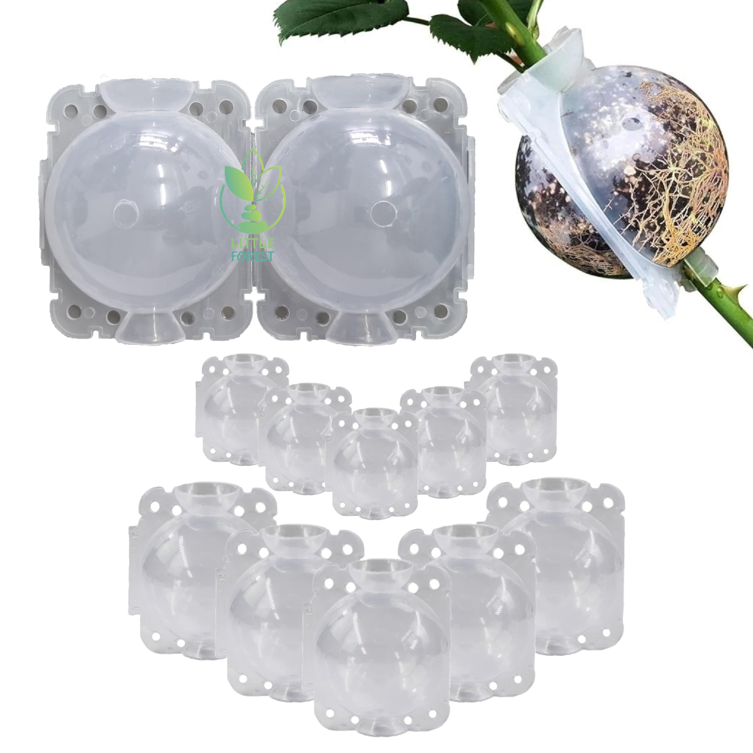 Little Forest - 2 Inch & 3 Inch Combo Plastic Rooting Ball, Plant Rooting Propagation Ball, Faster Root Growth, 100% Virgin Plastic, Reusable, Selflocking (Transparent - 2 Inch/5pcs, 3 Inch/5pcs)-image-8