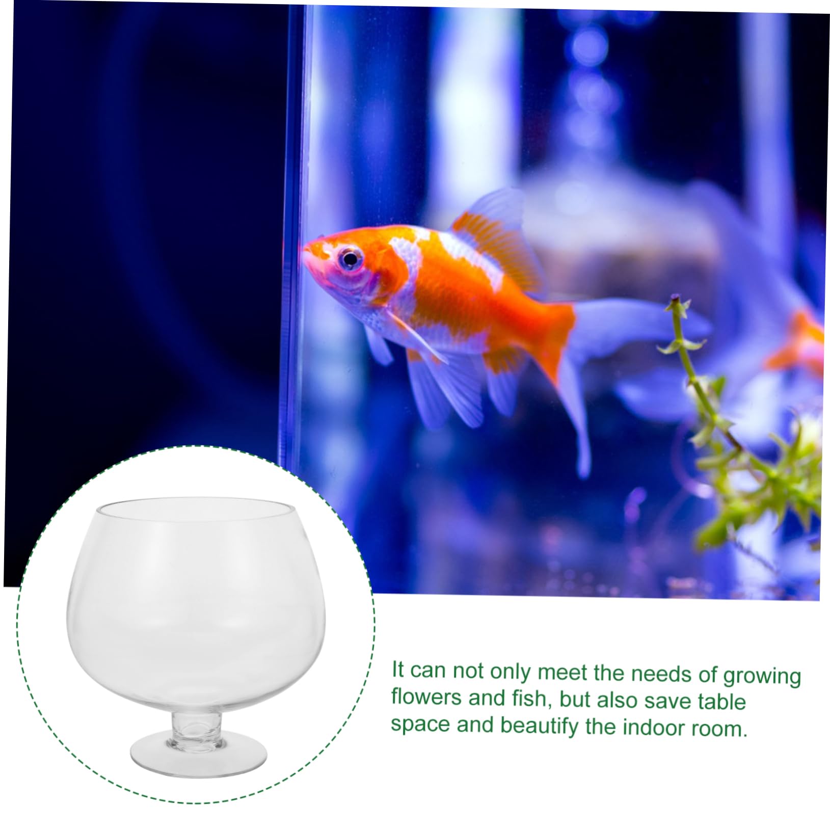 ibasenice Acquario Trasparente Per Pesci Rossi Acquario Da Tavolo Multifunzione in Pet Per Pesci Betta Decorativo e Durevole