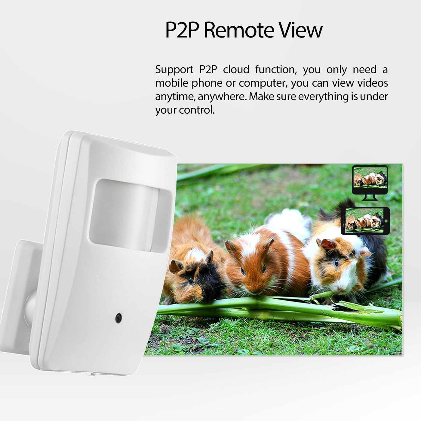 Illustration of P2P remote viewing, showing a mobile phone and computer accessing the camera feed from a remote location.
