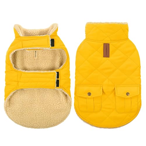 Queenmore Waterproof Dog Winter Jacket Warm Puffer Coat Cold Weather Vest | Plush Lining Thermal Dog Vest for Small Medium Large Dogs, Windproof Easy On Pet Jacket with Leash Hole, Yellow M - Medium - Yellow