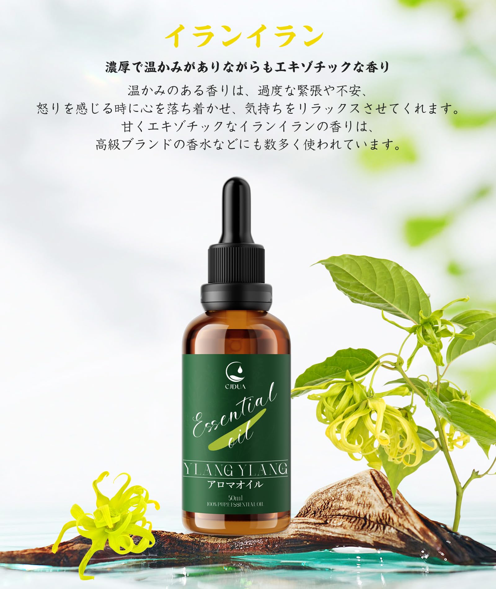 Amazon.co.jp: CJDUA イランイラン 精油 50ml エッセンシャルオイル 純