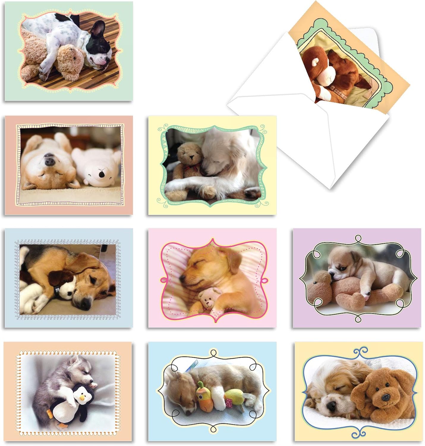 The Best Card Company - 10 Blank Dog Cards Assorted (4 x 5.12 Inch) - Adorable Boxed Animal Note Cards for All Occasions - Cuddle Buddies M6469OCB