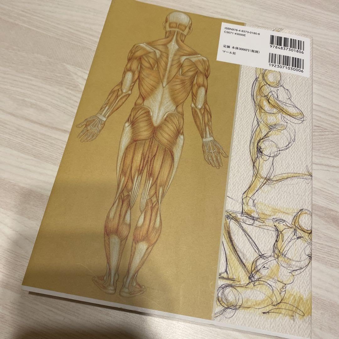 Amazon.co.jp: Art Anatomy for Artists: Drawing Cartoon Animation