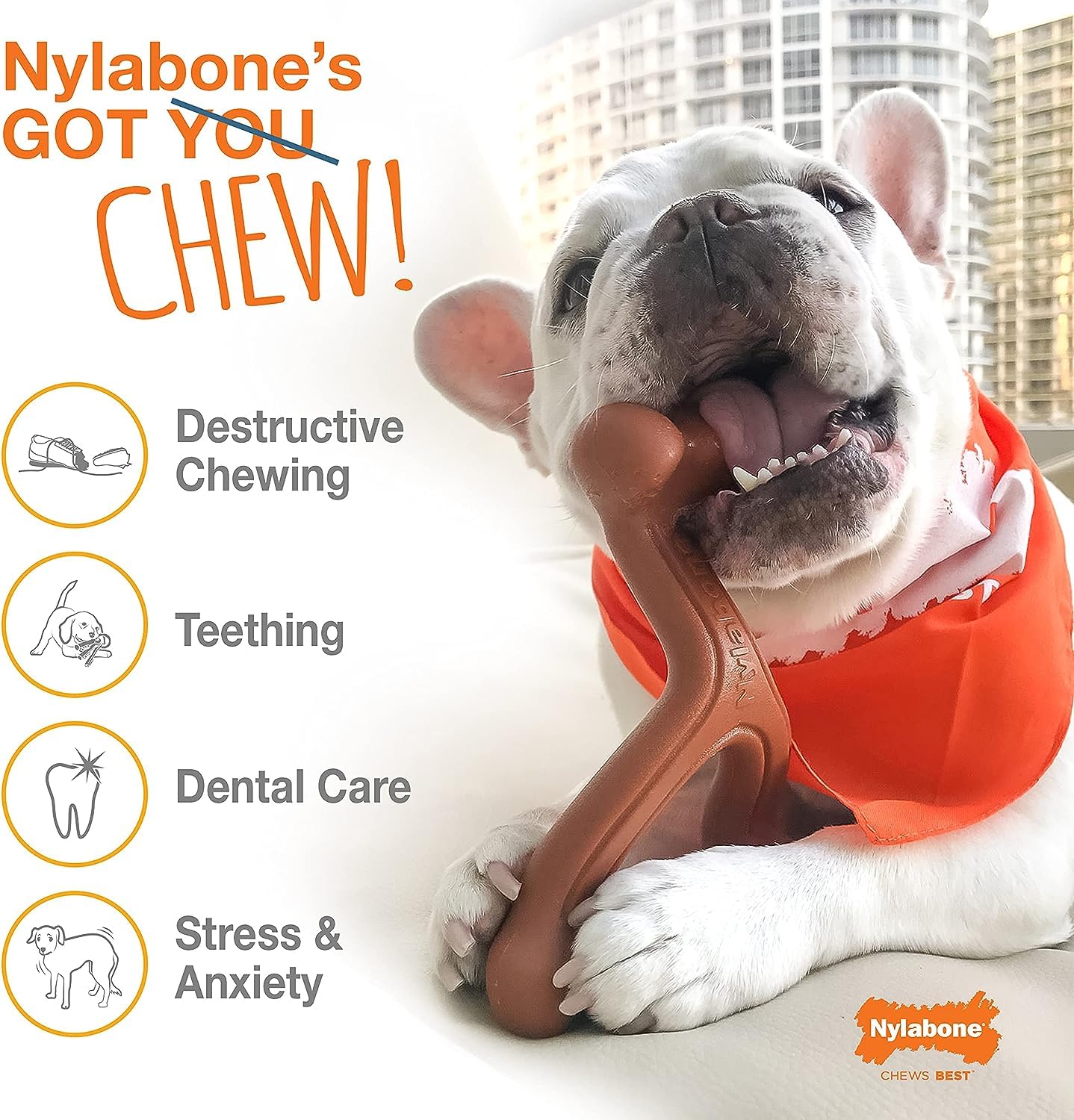 Nylabone Dura Chew - Juguete masticable de nailon para perros, grande (paquete de 4)