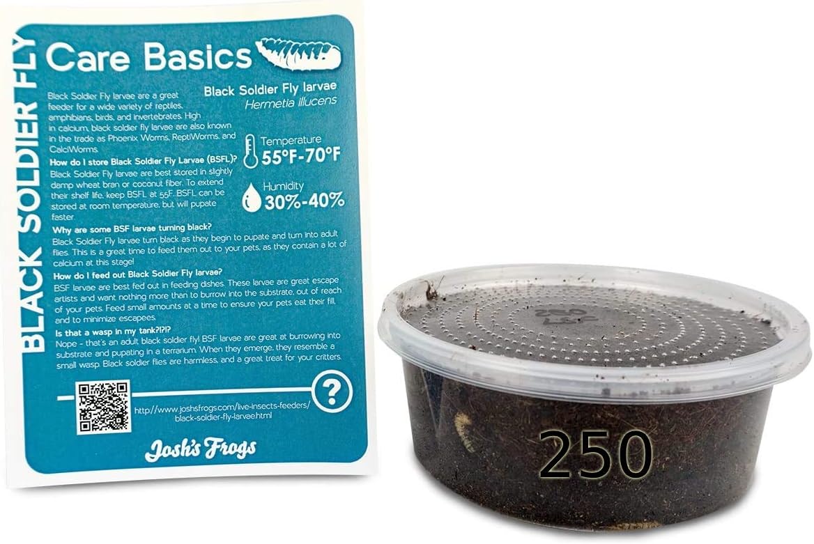 Josh's Frogs Black Soldier Fly Larvae (250 Count - Large)