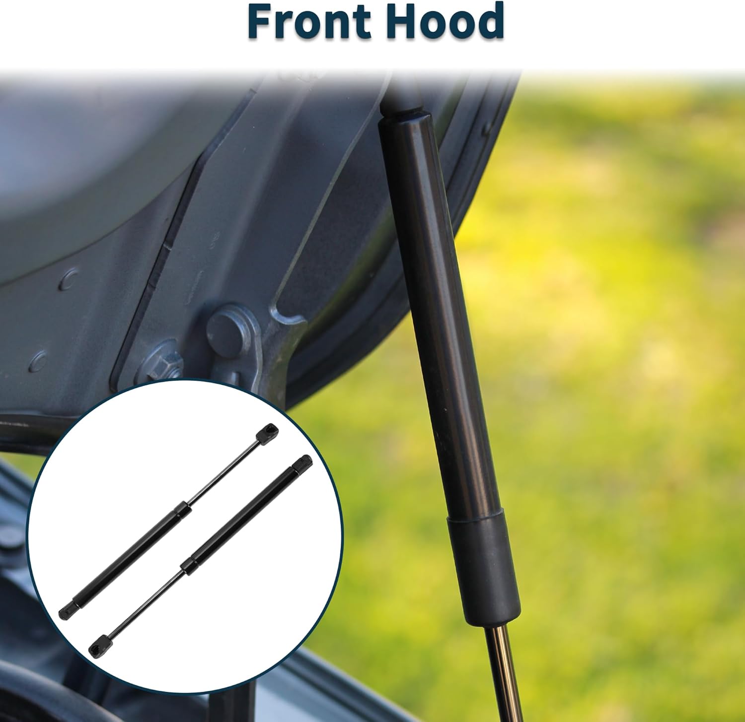 Lift Supports Struts for Ford Crown Victoria for Mercury Grand Marquis 1998-2005 No.6W7Z16C826AA/F8AZ16C826AA Front Hood Gas Spring Black 2Pcs