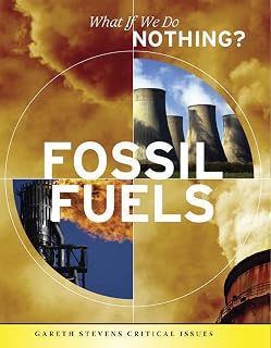 Fossil Fuels (What If We Do Nothing?)