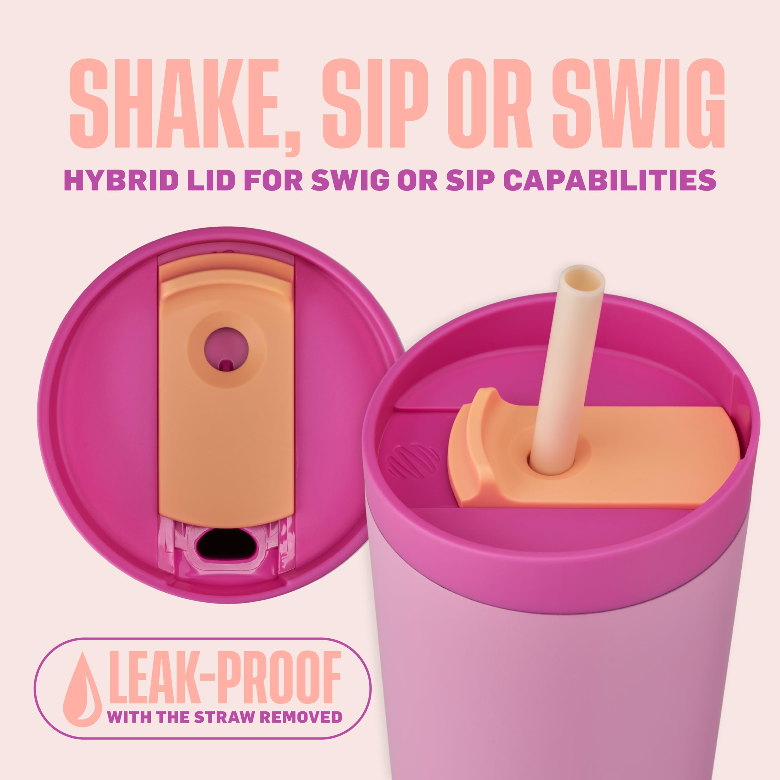 BlenderBottle Shaker isotherme 2 en 1 en acier inoxydable – Couvercle étanche – Paille, BlenderBall – Sans BPA – Pour boissons protéinées, smoothies et pré-entraînement, 710 ml, rose (rose pétale)