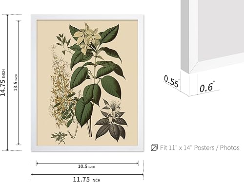 Miniatura 102 de Poster Master Póster vintage de orquídea, estampado de flores retro, arte de pared de plantas exóticas, arte botánico, regalo para hombres y