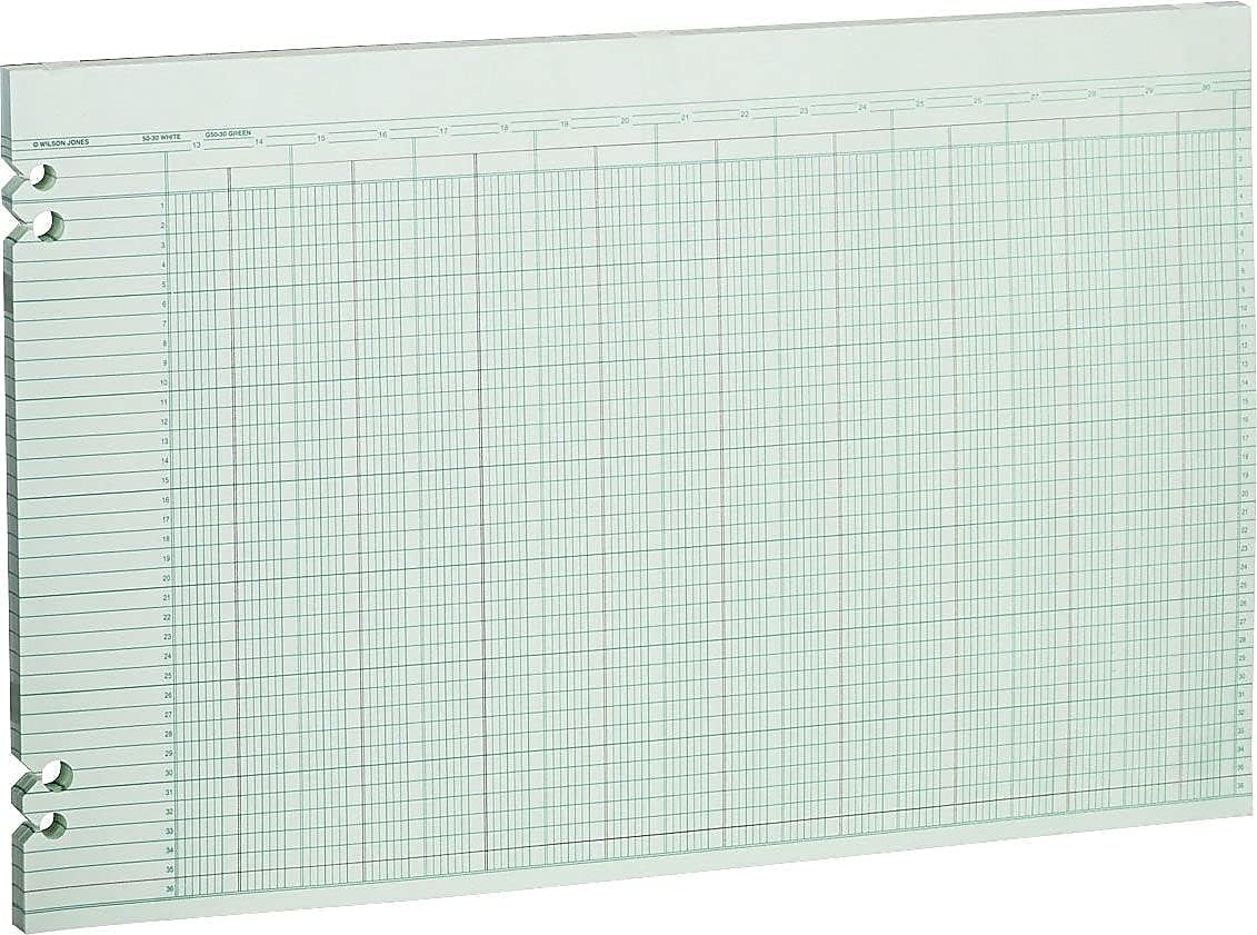 Wilson Jones G5030 Accounting Sheets, 30 Columns, 11 x 17, Green (Pack of 100 Loose Sheets) image 2