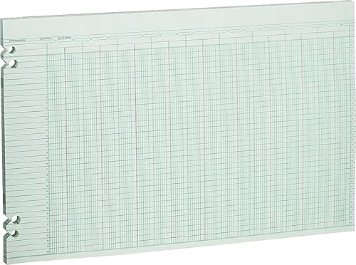 Miniatura 2 de Wilson Jones Hojas de contabilidad G5030, 30 columnas, 11 x 17, verde (paquete de 100 hojas sueltas)
