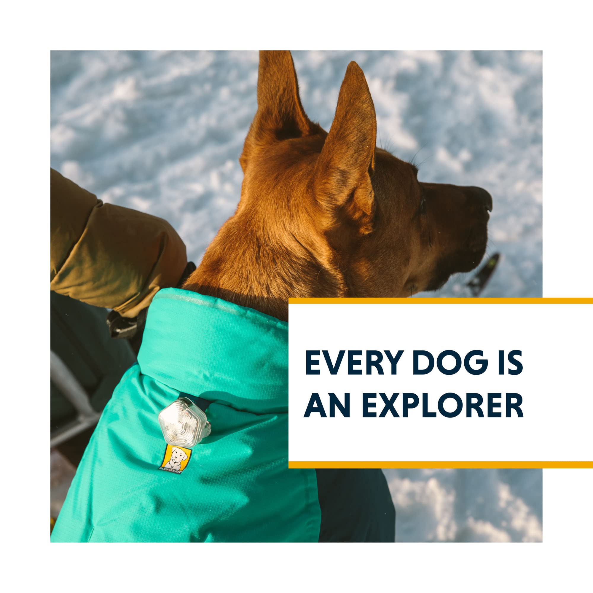 RUFFWEAR, Vert Dog Winter Jacket, Waterproof & Insulated Coat for Cold