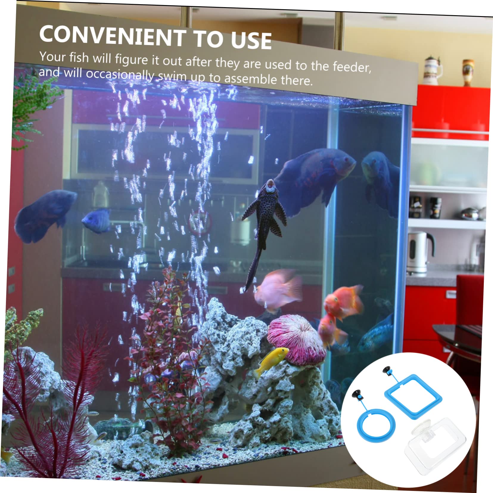 Toddmomy 12piezas Anillo De Alimentación para Peces Ventosa De Diferentes Formas para Acuarios Alimentación Controlada y Reducción De Desperdicio De Comida