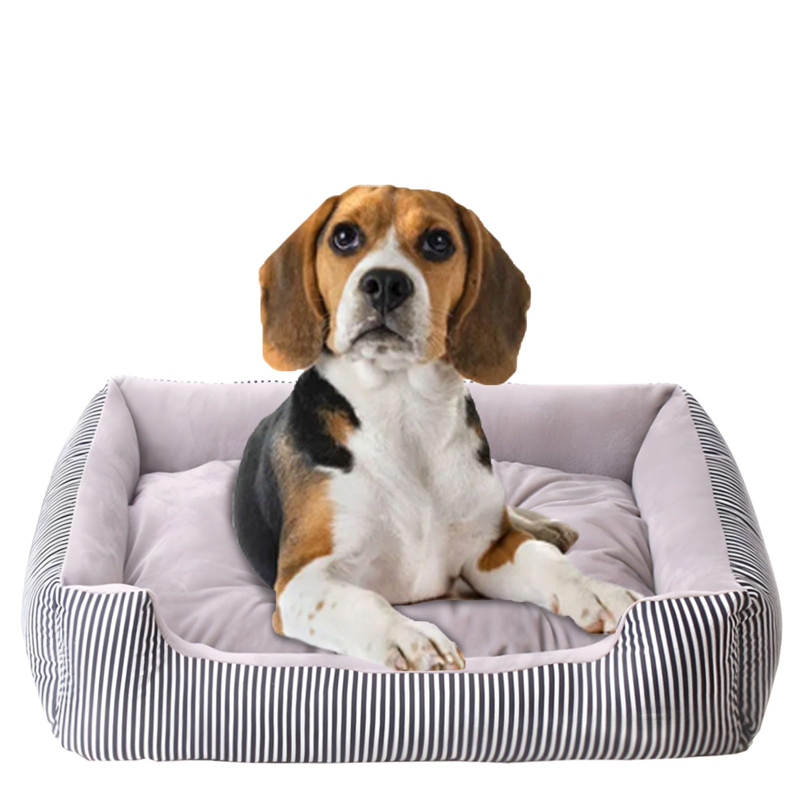 Bibykivn Cama Perro Grande Mediana, Antideslizante Lavable Cama para Gatos, Bordes Altos Cómodo Cama para Perros, Cama de Perro con Cojín Reversible para Mascotas Pequeñas (70 * 52cm, Gris)