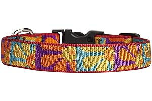 Lupine Originals Crazy Daisy 13-22" Adjustable Dog Collar