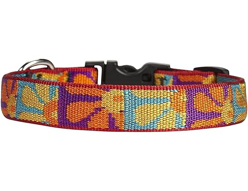 Top 10 Best Lupine Dog Collars in 2024