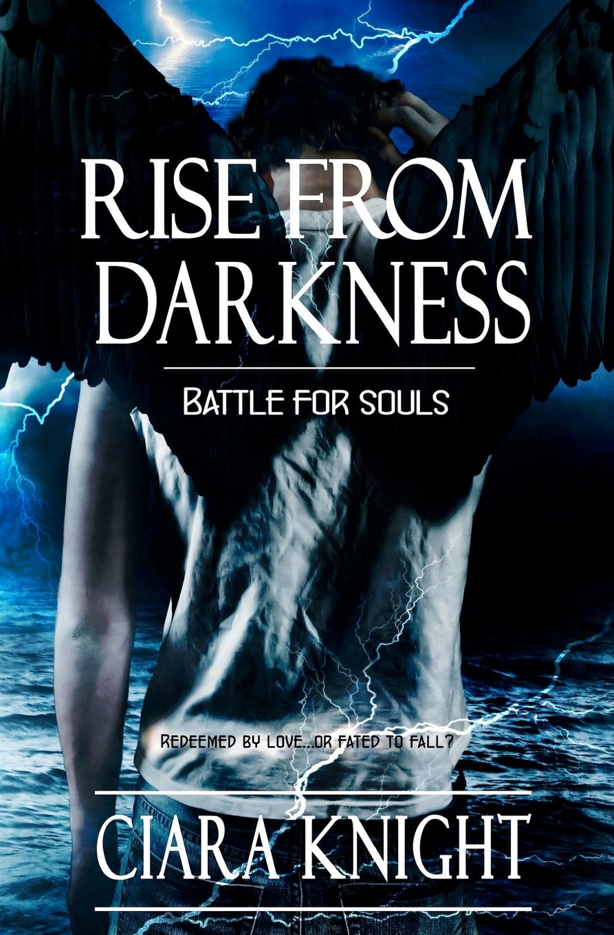 Buy Rise from Darkness: Battle for Souls — BookShops.in