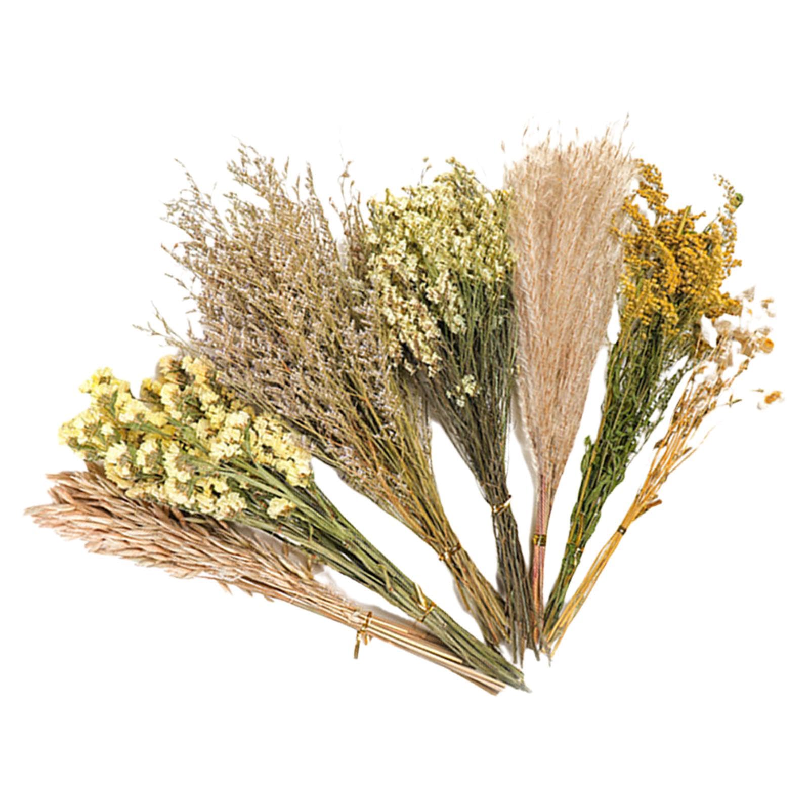 Cama de heno para hámster, cama de flores para hámster, decoración de hábitat de flores de animales, adición de accesorios divertidos para hámster, ropa de cama de flores naturales, decoración