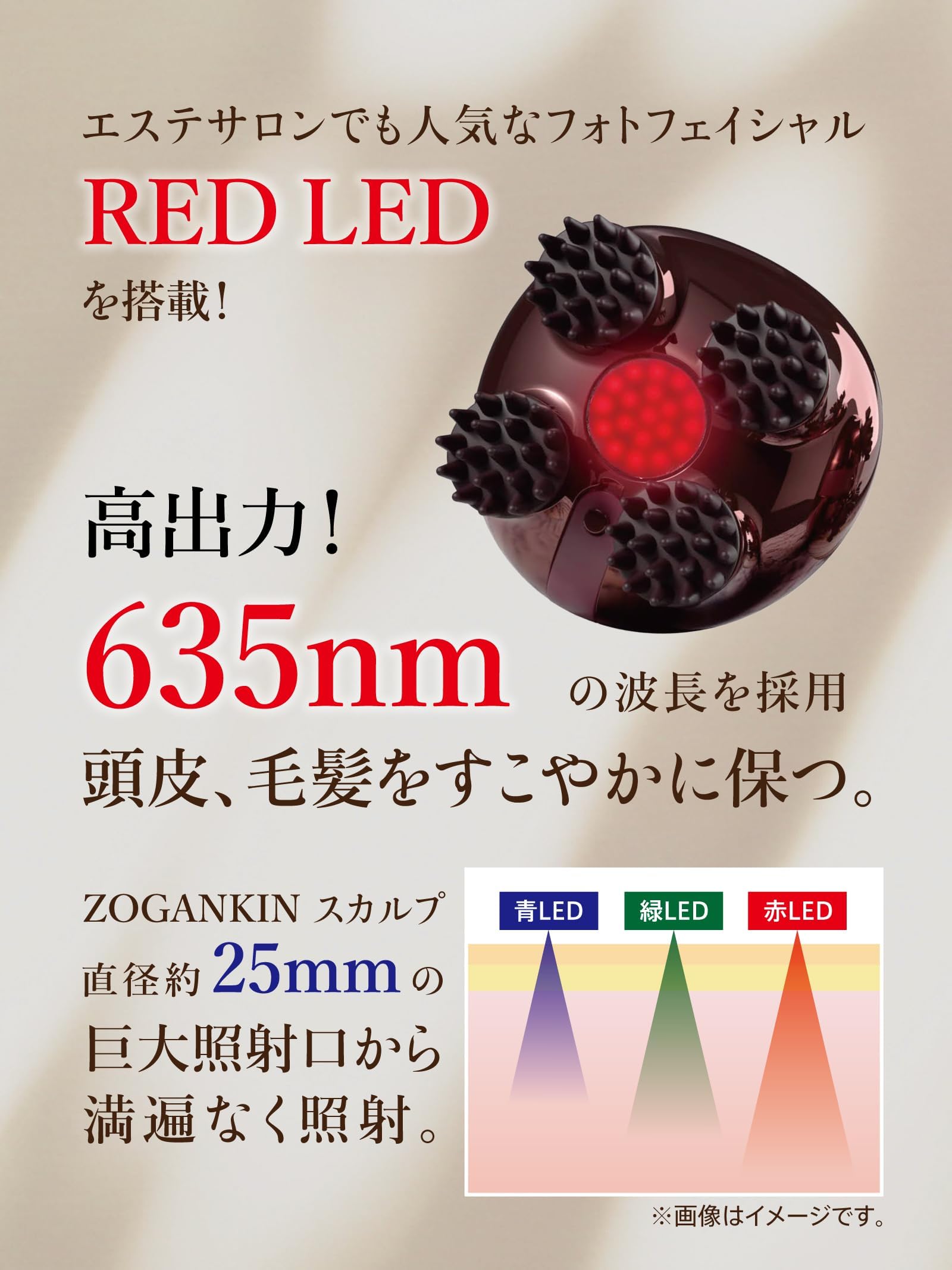 Amazon | 【限定色 3/31終了】ZOGANKIN(ゾーガンキン) スカルプ
