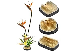 Japanese Ikebana Kenzan Kit: The Art of Floral arrangement