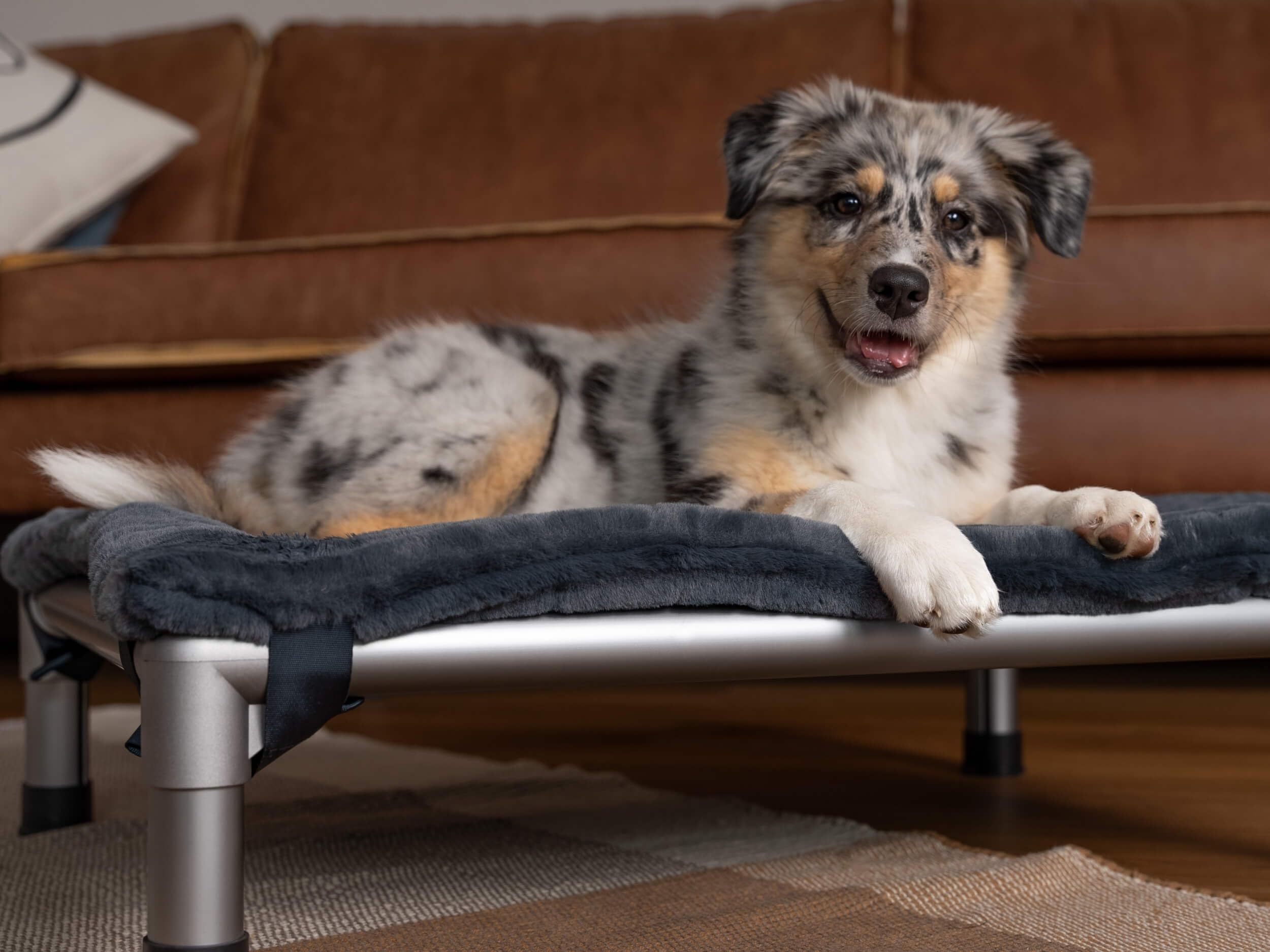 TrendPet Harmony 4cm gefütterte Hundedecke HighBed (90x70cm)