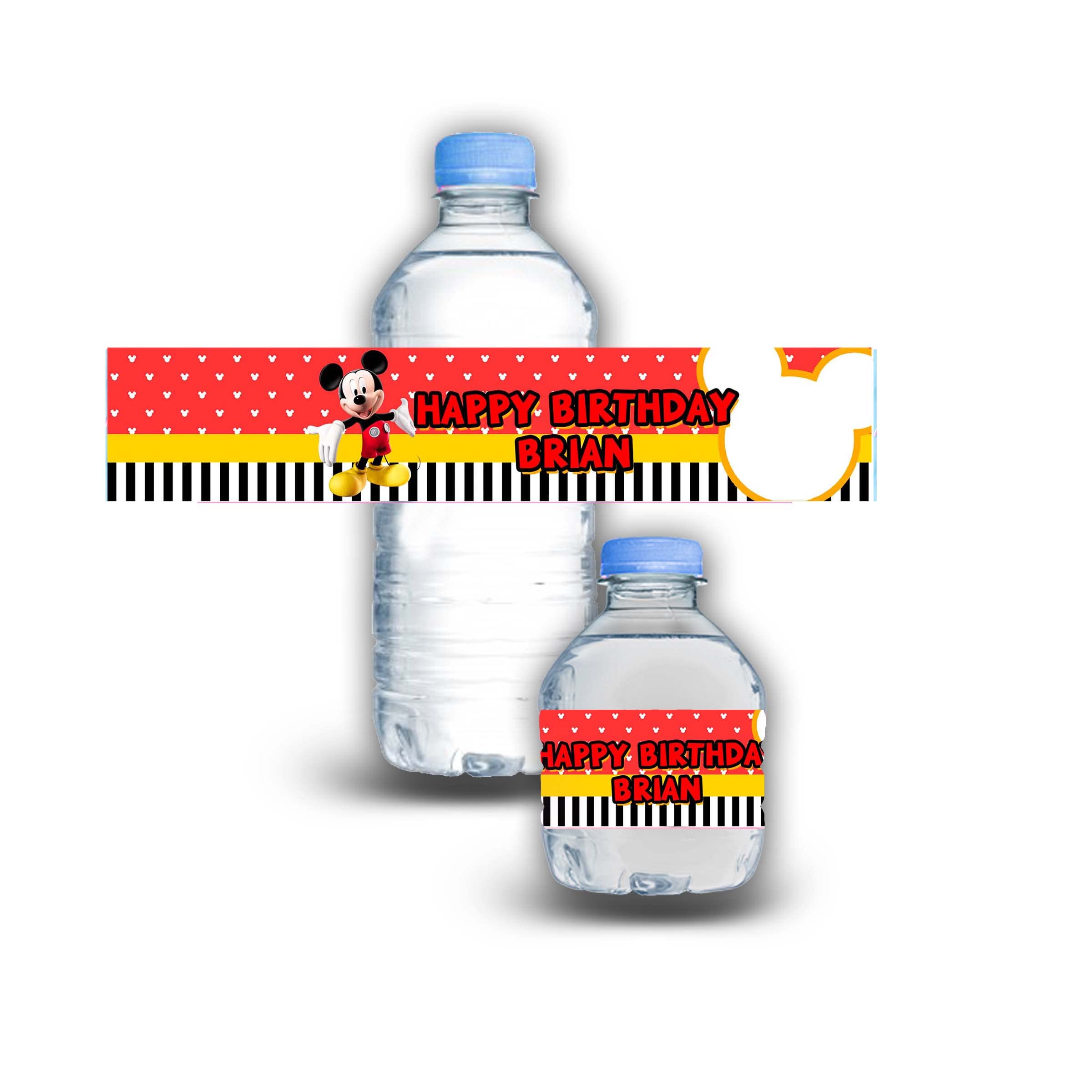 Bottle Water Waterproof Stickers - Customizable - 12Pack (Classic Micke)