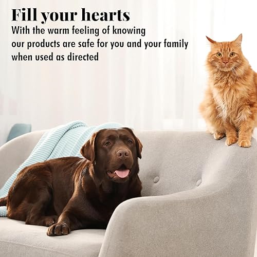 Miniatura 7 de Citrus Magic Ambientador sólido que absorbe olores de mascotas para el hogar purificador de aire cítricos frescos 8 onzas paquete de 3 Suministros