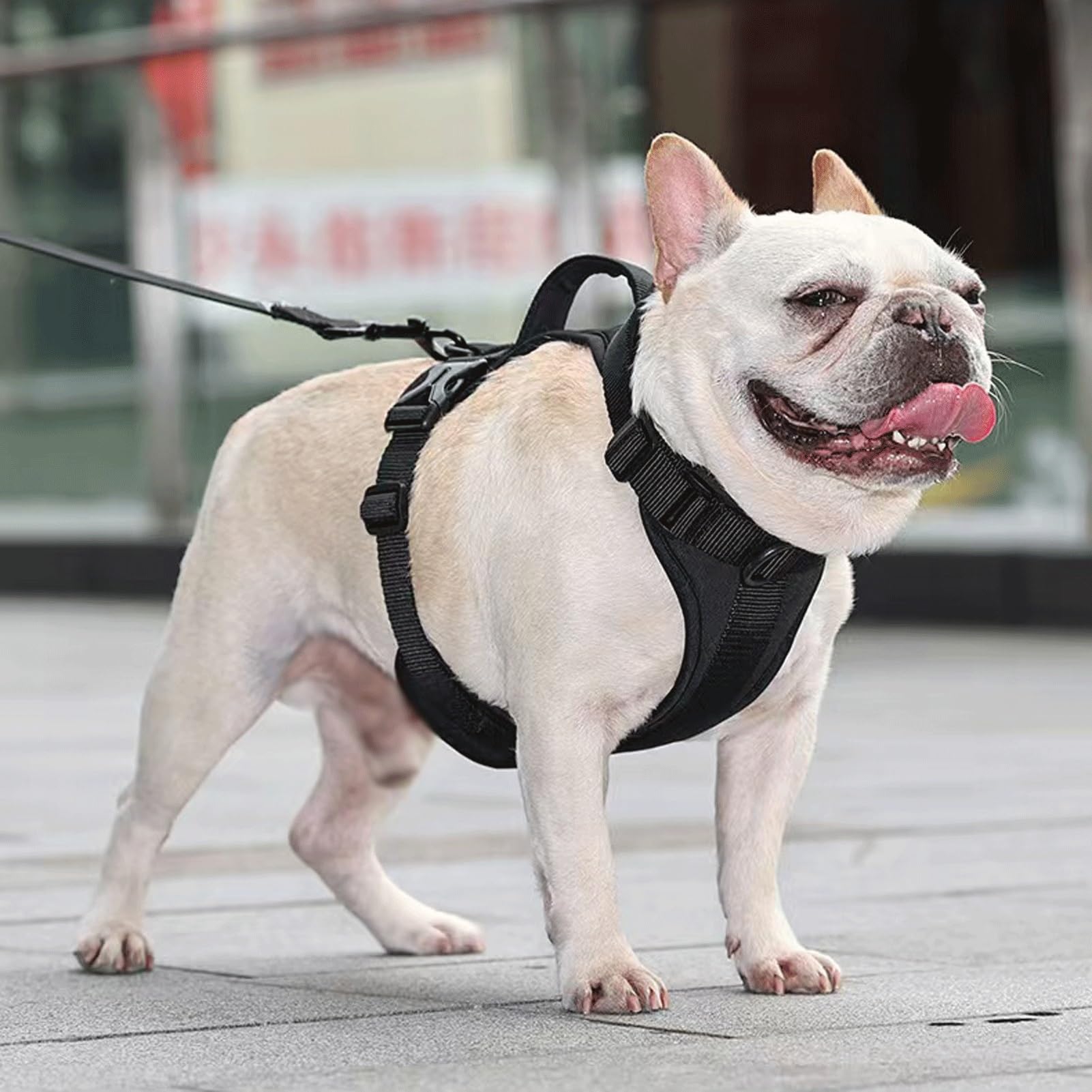 Arnés Antiescape para Perros - Chaleco Transpirable Y Ajustable con Asa, Equipado con Correa Y Collar, Adecuado para Perros Grandes(Orange,M)