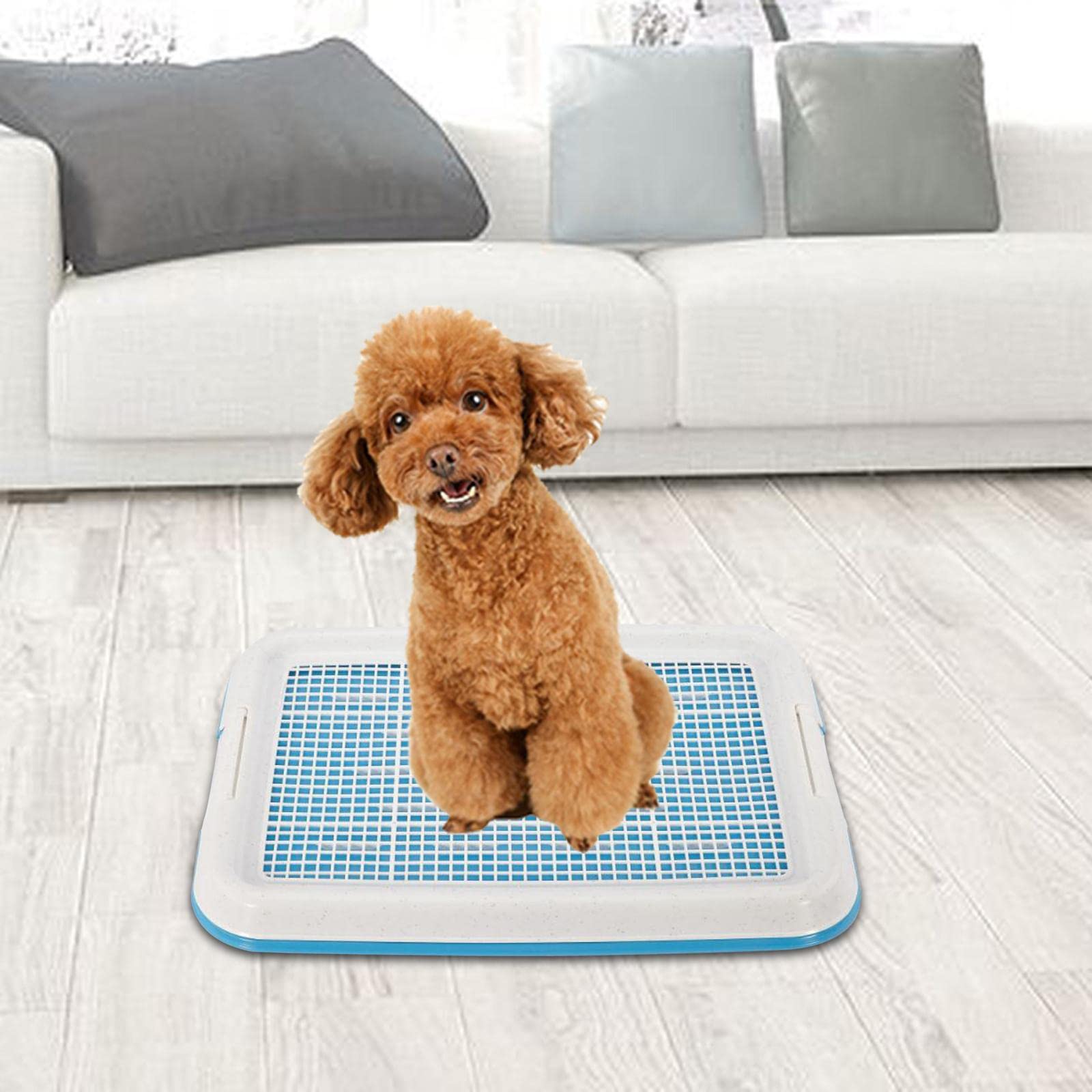 Chien Pot Toilette Formation Plateau Maille Pot Formation Plateau Chiot Pipi Support Coussin Pot entraîneur pour Chiots, Bleu