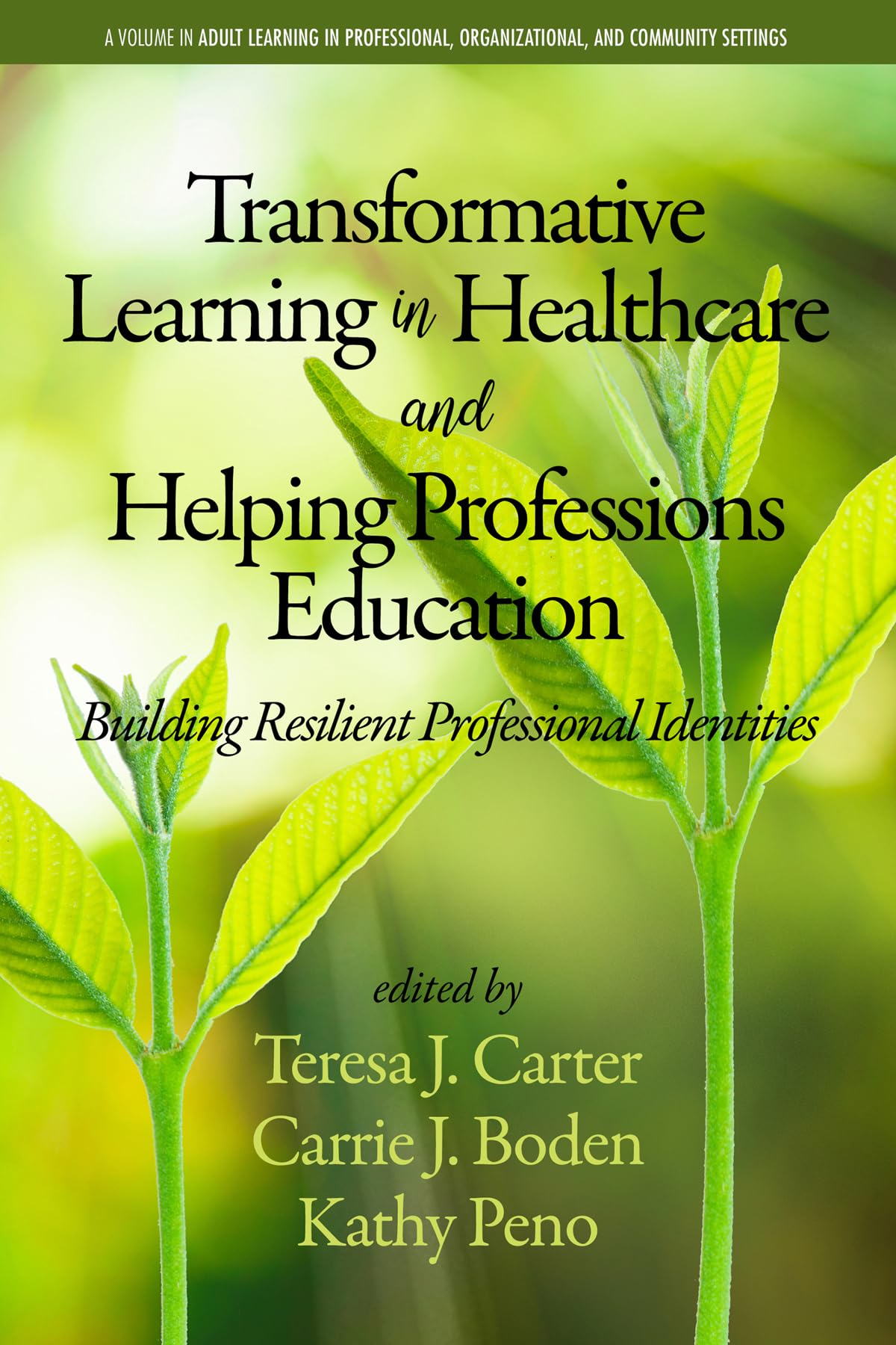Buy Transformative Learning in Healthcare and Helping Professions Education: Building Resilient Professional Identities — BookShops.in