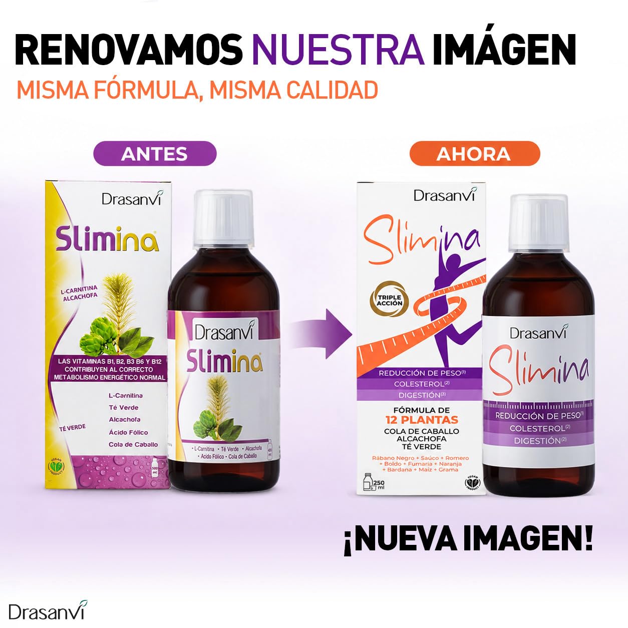 l carnitina extracto de alcachofa organico Suplemento con L-Carnitina 90 Cpsulas L-Carnitina + Alcachofa + T