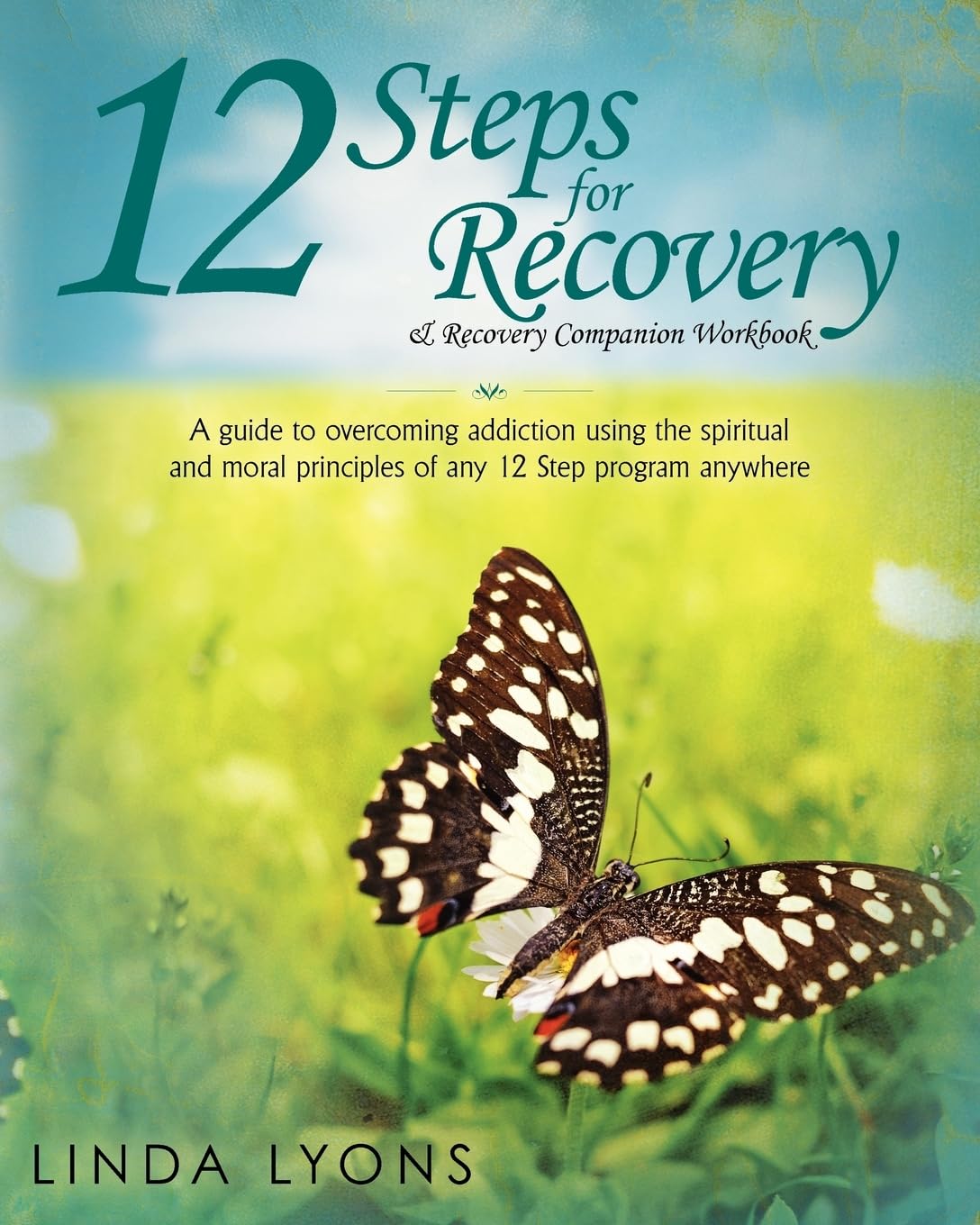 12 Steps for Recovery & Recovery Companion Workbook: A guide to overcoming addiction using the spiritual and moral principles of any 12 steps program anywhere