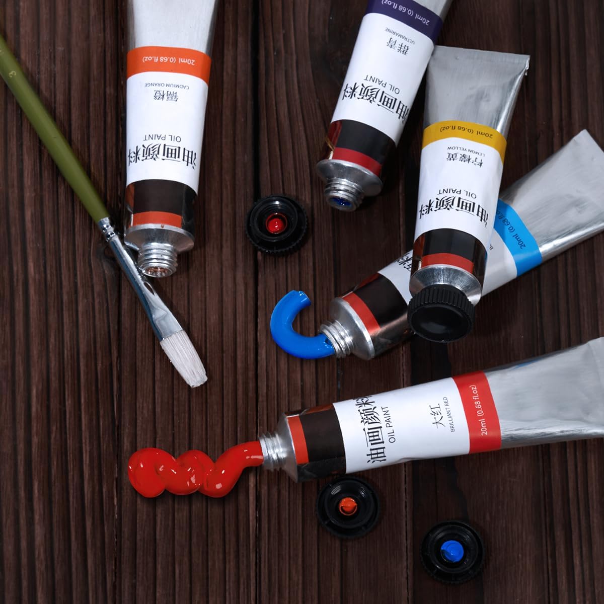 LIGHTWISH Oil Paint,24 x 20 ml / 0.67 oz, Vibrant Colors, Non-Toxic Oil Paints for Adult Beginners Professional Canvas Painting