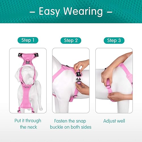 Miniatura 4 de PoyPet chaleco reflectante de malla suave transpirable para perro sin estrangulamiento doble acolchado con cuello y pecho ajustables