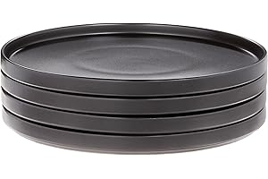 Stone Lain Stoneware 4-Piece Black Matte Round Dinner Plates Set