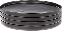 StoneLain Celina Black Matte Stoneware Dinner Plates Set of 4 - 10.25" Coupe Round Plates, Mid-Century Modern, Dishwasher Microwave Safe