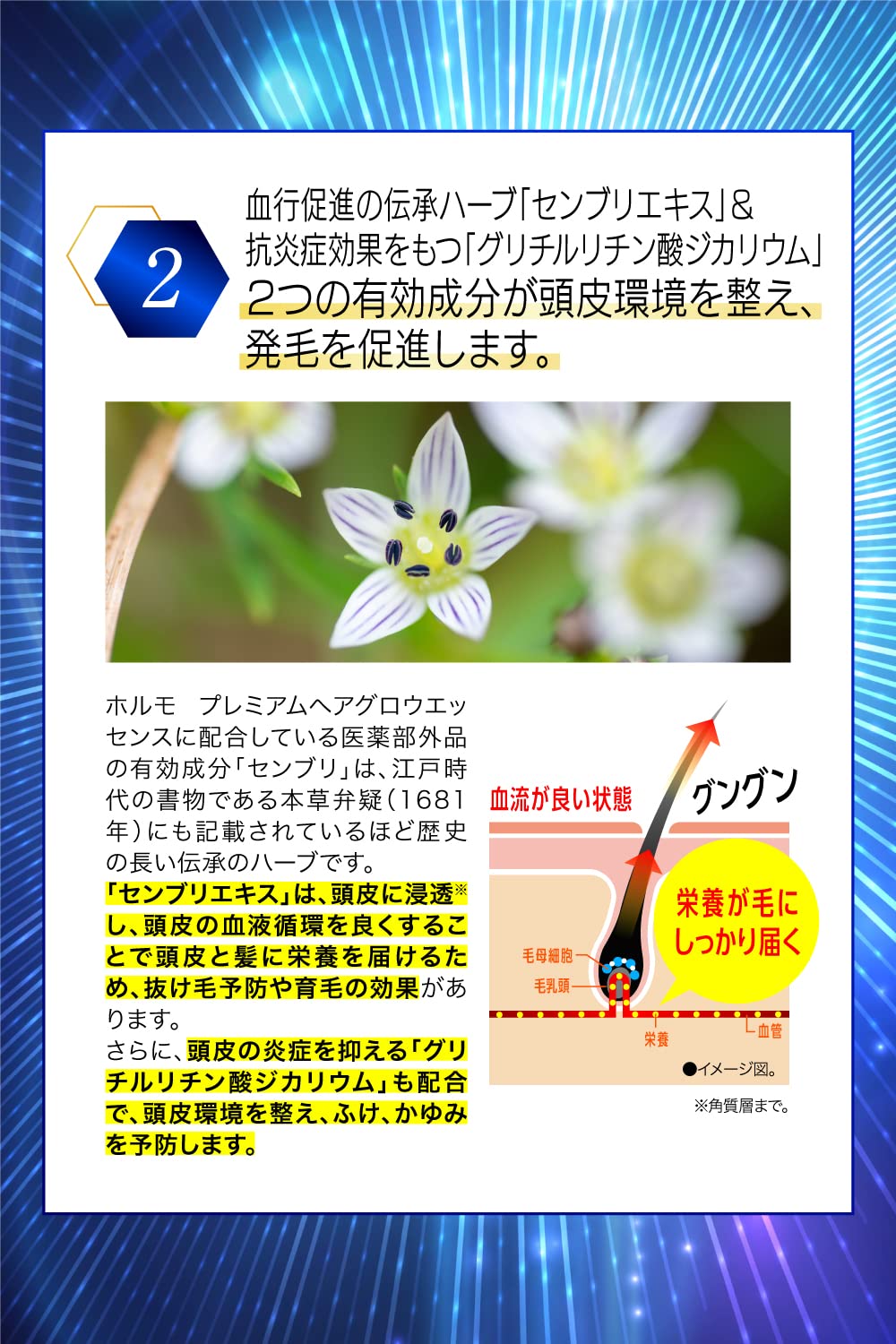 Amazon | 【医薬部外品】ホルモ プレミアムヘアグロウエッセンス 80ml