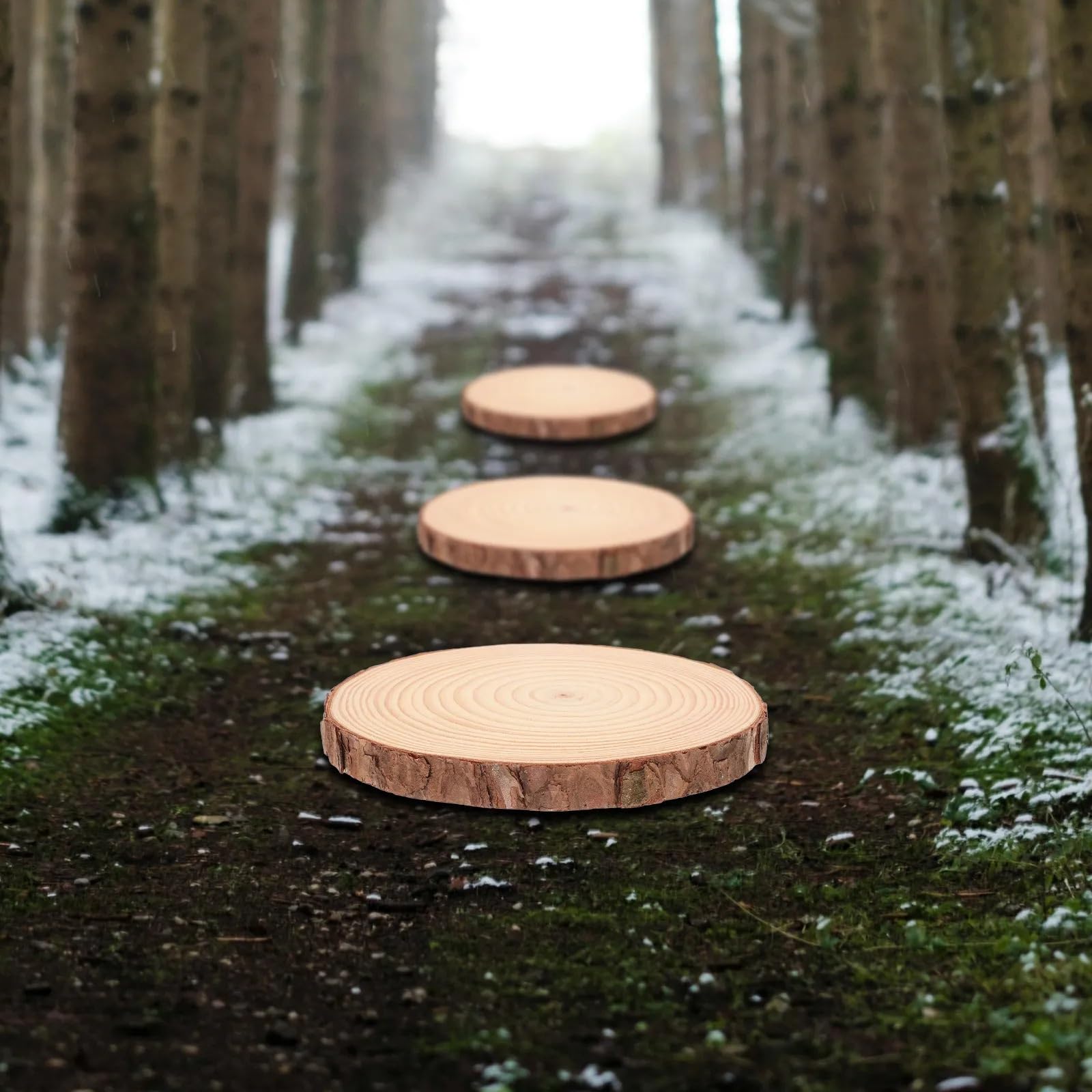 Pas Japonais Jardin Tremplins de jardin en bois 3 pièces