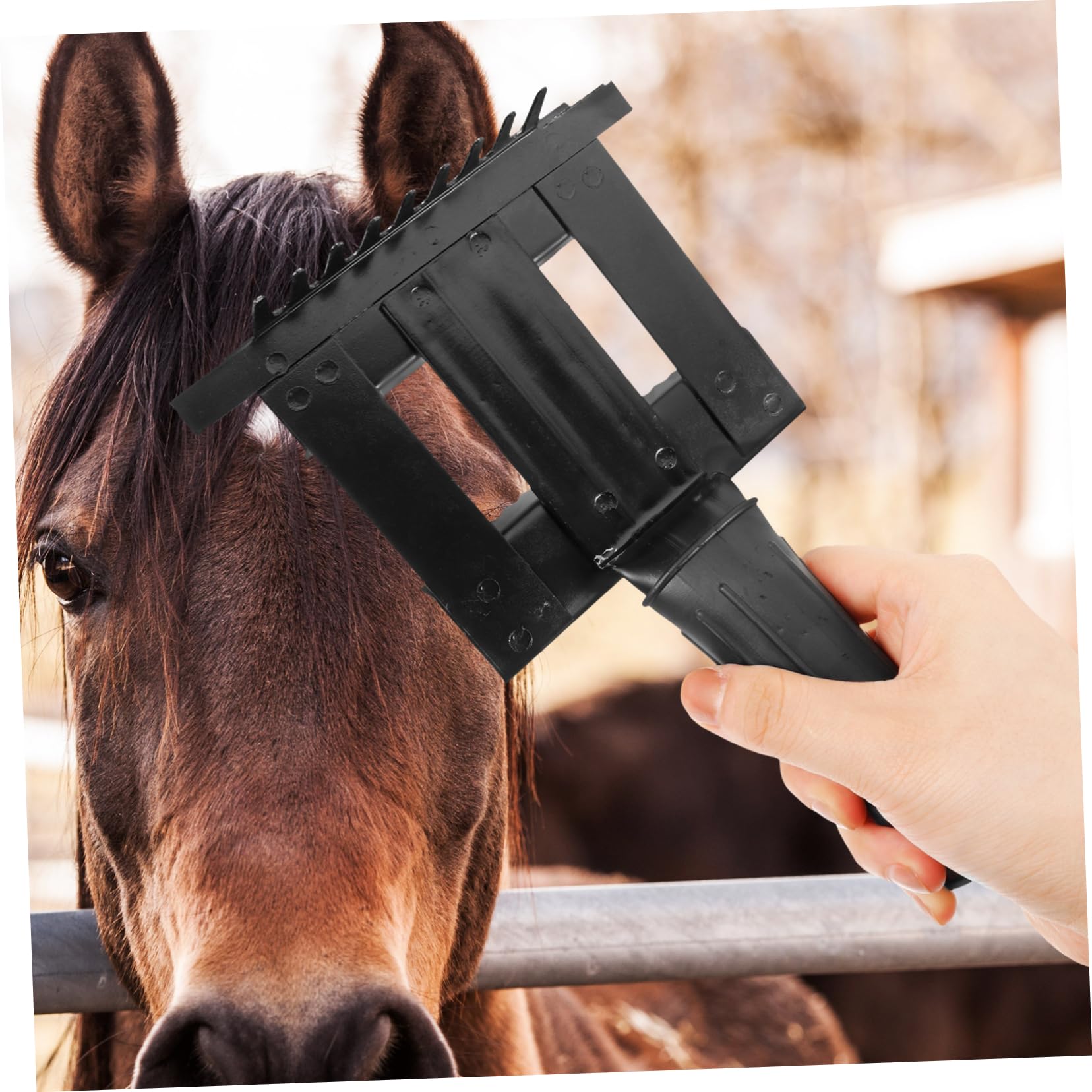 BESPORTBLE 3 Piezas rastrillo anti-picazón cepillo de pelo de animales cepillo de aseo para caballos cepillo para caballos peine de pelo de caballo limpieza de caballos Metal Black