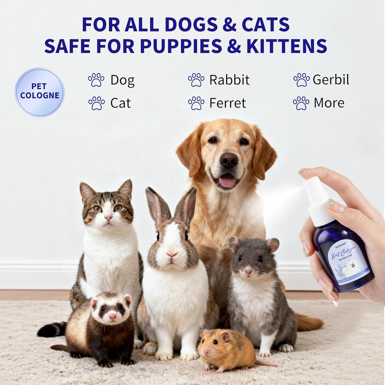 Dog Perfume Spray, Long-lasting Fragrance, Suitable for Grooming Care, Salon-grade Dog Deodorizing Fragrance, Freshens Fur Between Two Baths, Non-sticky Formula, Portable Size, 2.37 fl.oz. - Image 6