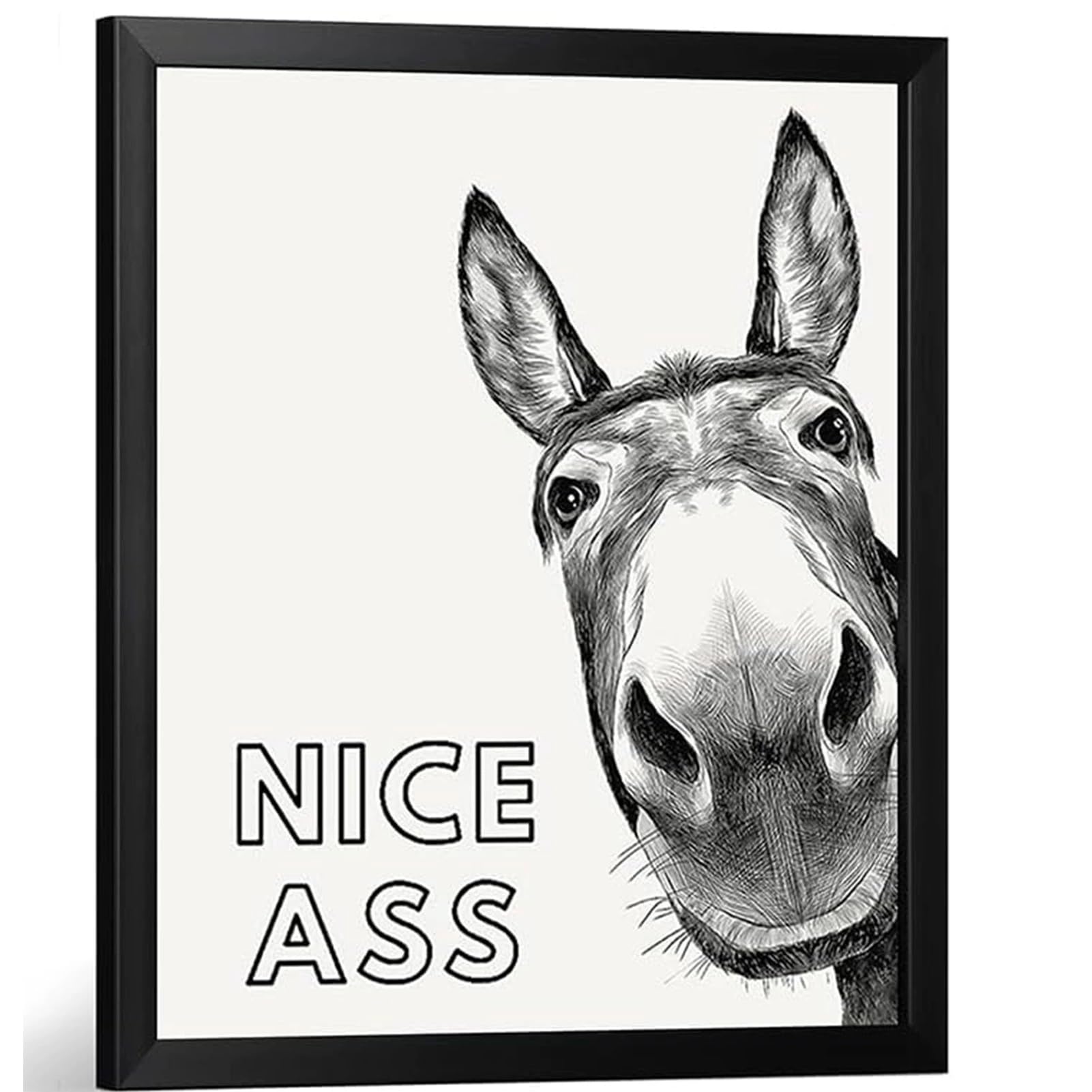Zbello A Humorous Donkey Canvas Wall Rt - Funny Bathroom Sign For Toilet Decor, Farmhouse & Restaurant Wall | Perfect Housewarming Gift, Unique Gift For Home, Hotel Or Office (,20X25cm With Frame)