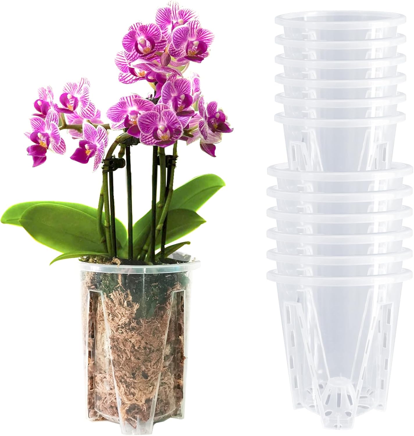 pavtner Orchid Pots 12 Pack 6 Each of 4.7 and 5.5 Inch
