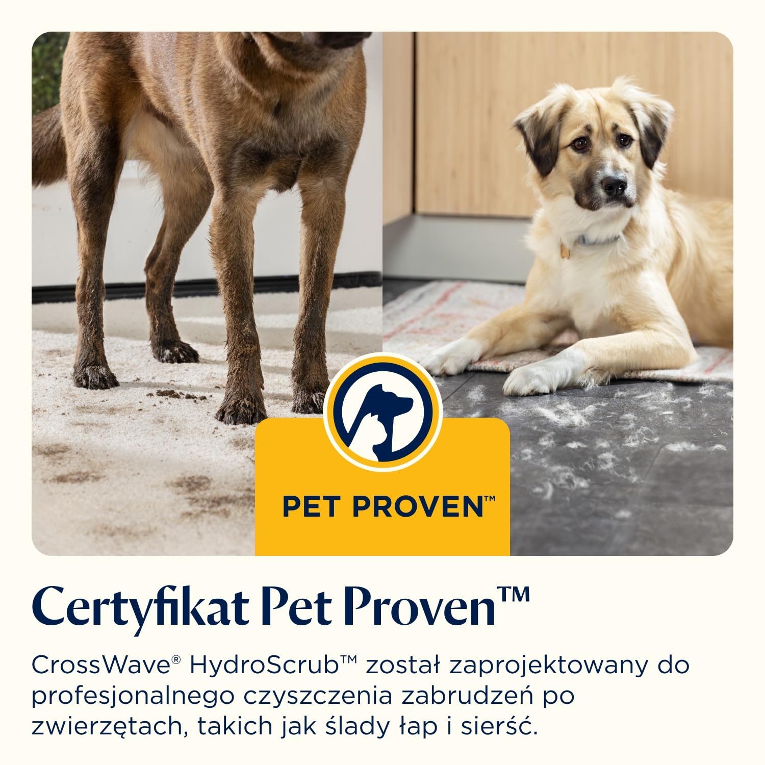 BISSELL CrossWave HydroScrub Odkurzacz Bezprzewodowy Mokro i Sucho 4283N | Do czyszczenia na mokro i sucho, 45 min pracy, z funkcją czyszczenia przy krawędziach, lampy LED
