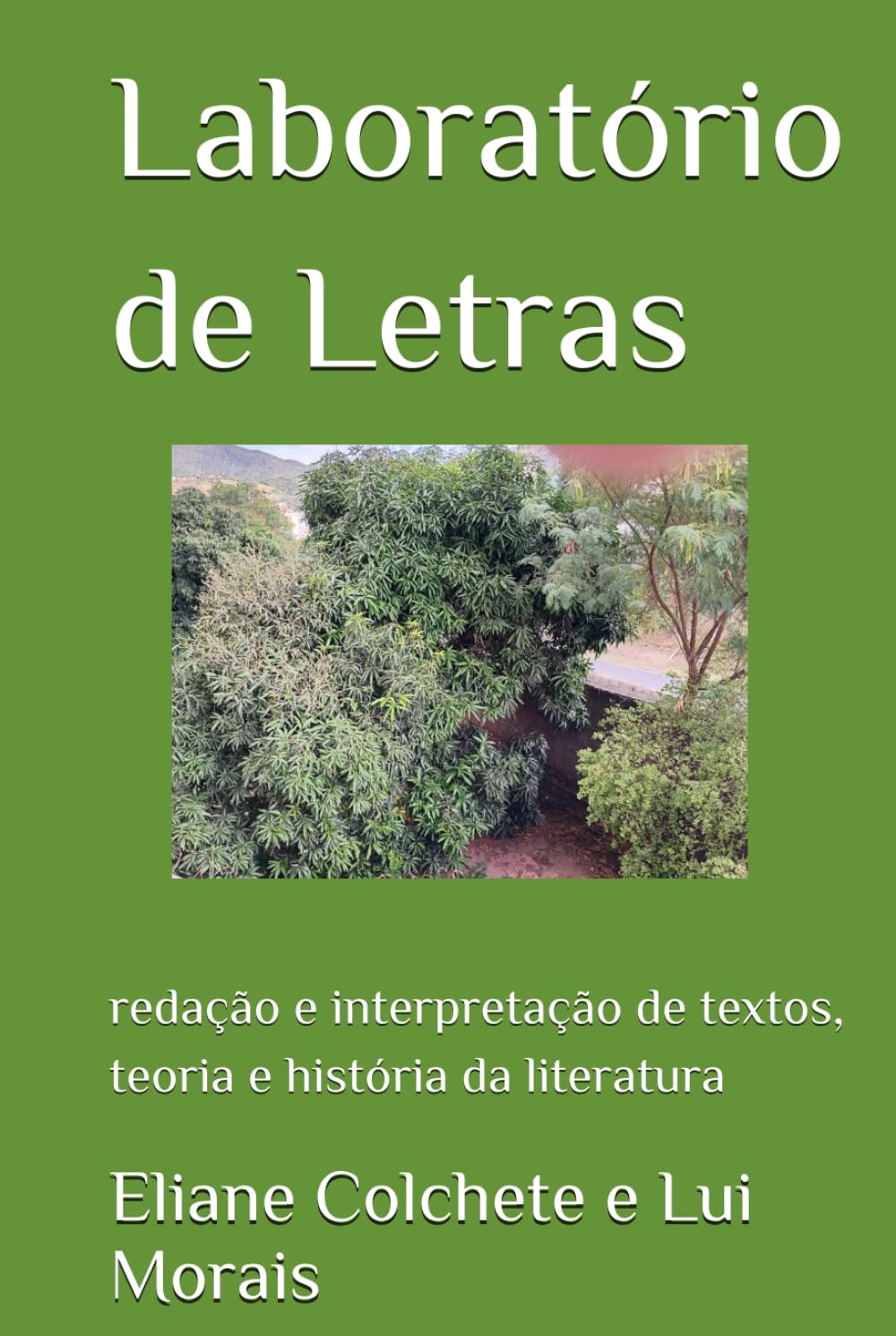 Laboratório de Letras: redação e interpretação de textos, teoria e história da literatura