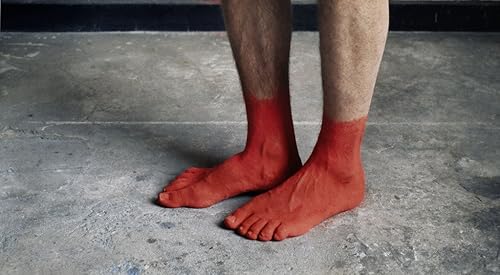 100 semillas de lápiz labial Annatto Tree Annotta Orellana