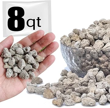 Horticultural Pumice for Plants Professional Sifted 8QT, 1/2 inch