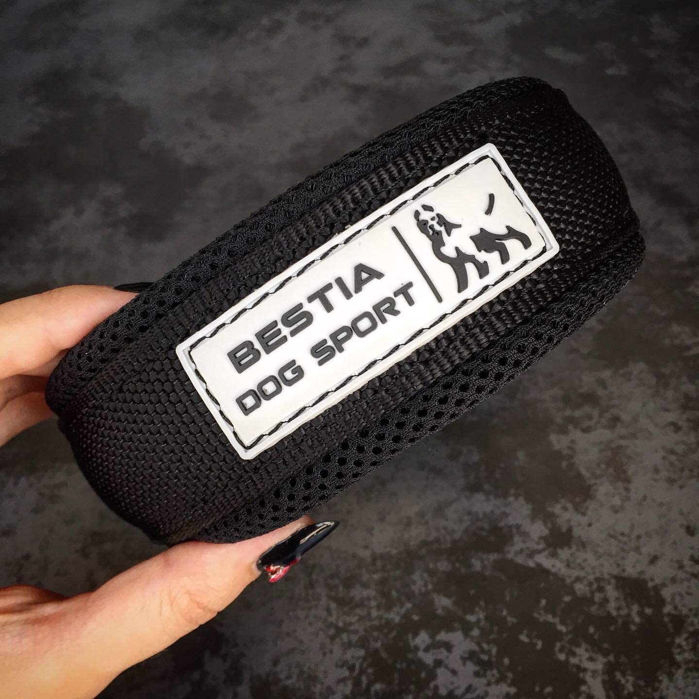 Bestia Dog Sport Collar para Perros de Apertura Rápida - Ajusta una Vez, abrocha en un Segundo, Hebilla metálica, Acolchado, Cinta TPU Impermeable (Negro, XXL)
